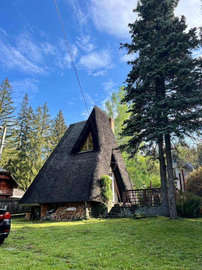 Mountain Getaway Cabin Cheia  Bagian luar foto