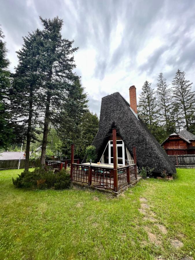 Mountain Getaway Cabin Cheia  Bagian luar foto