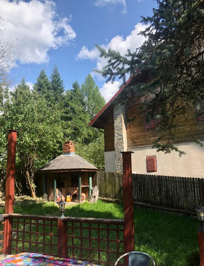 Mountain Getaway Cabin Cheia  Bagian luar foto